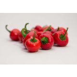 PLODOVKE L'ORTO FRUTTIFERO ČILI RDEČ 1/1 BACIO DI SATANA L14