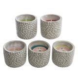 SVEČA DECORIS CITRONELLA V KERAMIČNEM LONČKU FI10.5CM, SORT