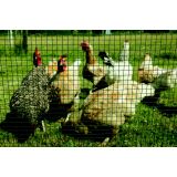 VARJENA OGRAJNA MREŽA CORAL 0.9X12.7X500 MM