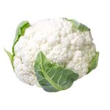 KAPUSNICE L'ORTO FRUTTIFERO CVETAČA 4/1 WHITE FLASH KULTIPAK