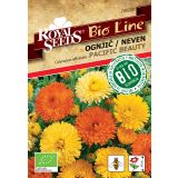 CVETLICA ROYAL SEEDS OGNJIČ PACIFIC BEAUTY MIX