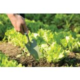 CVETLIČNO ORODJE WORTH LOPATICA ŠIRŠA