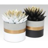 EŠEVERIJA ZLATA ELEGANT MIX L10.5 V LONČKU