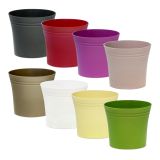 PE NOTRANJI LONEC DALIJA 11 CM