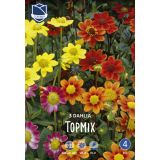 DALIJA LEFEBER TOPMIX 3 KOS