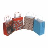 DARILNA VREČKA EKO LUX A 220X100X290, 180X100X227