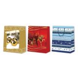 DARILNA VREČKA NL LESK, VELIKA