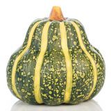 JESENSKA FIGURA GLOSSTYLE BUČA FI 12 CM ZELENA KERAMIČNA