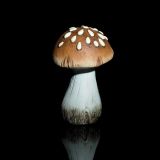 DEKOR.ZA NOČ ČAROVNIC GLOSSTYLE GOBA KERAMIČNA 15 CM