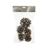 DEKORACIJA DECORIS NARAVNI STORŽI Z BELIMI KONICAMI 5/1