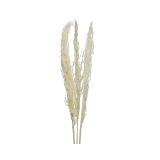 DEKORACIJA EVERLANDS VEJA BEŽ BARVE 3/1 115 CM