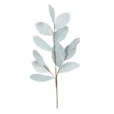 DEKORACIJA VEJA MAGNOLIJA SREBRNA