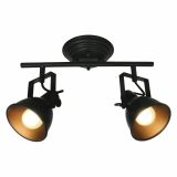 DEKORATIVNI REFLEKTOR FEROTEHNA R50111102-2TU 2X40W E14 1839 ČRN