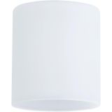 DEL ZA SVETILKO DECOSYSTEMS SHADE ZYLI MAX.50W STEKLO BELO