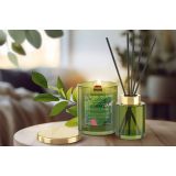 DIFUZOR BARTEK DIFUZOR POSITIVE VIBES 100 ML