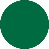 NIANSIRNO SREDSTVO JUB DIPI SUPER COLOR ZELENA 75 100 ML