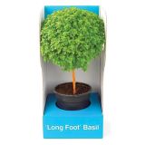 DIŠAVNICA DOBRO & ZDRAVO BAZILIKA NA STEBLU