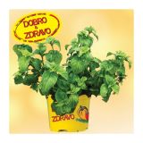 DIŠAVNICA DOBRO & ZDRAVO GOBOVA DIŠAVA