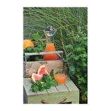 META VOLMARY PIPERITA AURA L12