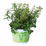 MIX DIŠAVNIC IN ZELIŠČ VOLMARY TRIO L13