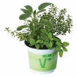 MIX DIŠAVNIC IN ZELIŠČ VOLMARY TRIO BARBECUE MIX L13