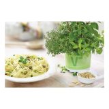 MIX DIŠAVNIC IN ZELIŠČ VOLMARY TRIO PASTA DELUXE L13