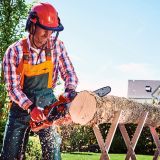 ELEKTRIČNA VERIŽNA ŽAGA EINHELL GH-EC 2040