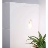 ELEKTRIČNI KAMIN NAPOLEON STYLUS CARA