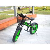 ELEKTRIČNI SKIRO MANTA MES2002N ČRNO ZELEN FLINSTONE FAT 350W