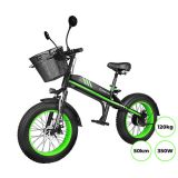 ELEKTRIČNI SKIRO MANTA MES2002N ČRNO ZELEN FLINSTONE FAT 350W