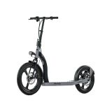 ELEKTRIČNI SKIRO MS ENERGY R10, ČRNO SIV