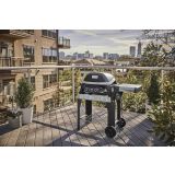 ELEKTRIČNI ŽAR WEBER PULSE 2000 + VOZIČEK
