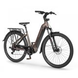 ELEKTRIČNO KOLO ECOBIKE LX300 900WH, L-19", ONYX
