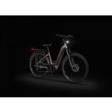 ELEKTRIČNO KOLO ECOBIKE LX300 900WH, L-19", ONYX