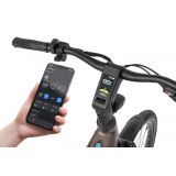 ELEKTRIČNO KOLO ECOBIKE LX300 900WH, L-19", ONYX