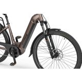 ELEKTRIČNO KOLO ECOBIKE LX300 900WH, L-19", ONYX
