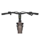 ELEKTRIČNO KOLO ECOBIKE LX300 900WH, L-19", ONYX