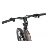 ELEKTRIČNO KOLO ECOBIKE LX300 900WH, L-19", ONYX