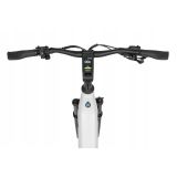 ELEKTRIČNO KOLO ECOBIKE LX300 900WH, M-17", WHITE