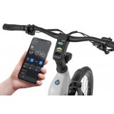 ELEKTRIČNO KOLO ECOBIKE LX300 900WH, M-17", WHITE