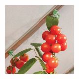 ELEM. ZA TOPLO GREDO DRŽALO ZA OBEŠANKE