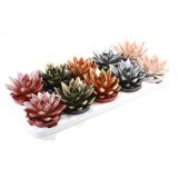 EŠEVERIJA MIX L10.5