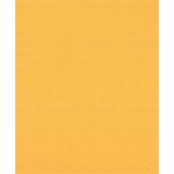 EXPERT C470 BRUSNI PAPIR ZA ROČNO BRUŠENJE, 230 X 280 MM, G 220