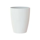 PE NOTRANJI LONEC FIJI ORHIDEJA BEL 12.5CM