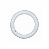 FLUO OKROGLA SIJALKA OSRAM L 40W/840 C G10Q FI 29MM