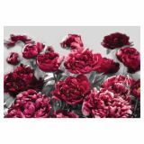 FOTOTAPETA -TEMPTATION  368 X 248 CM KOMAR