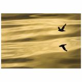 FOTOTAPETA 1-DELNA REFLECTION NG 184X127 CM KOMAR