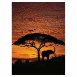 FOTOTAPETA 4-DELNA   AFRICAN SUNSET 194X270 KOMAR