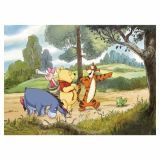 FOTOTAPETA 4-DELNA WINNIE  EXPEDITION DIM.254X184CM KOMAR