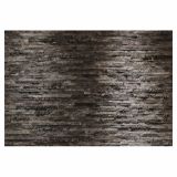 FOTOTAPETA 8-DELNA BIRKENRINDE 368X254 CM KOMAR